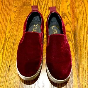 Circus by Sam Edelman Maroon Velvet Sneakers Size 8.5